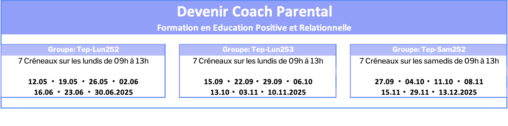 Planning 2025b Formation Coach Parental