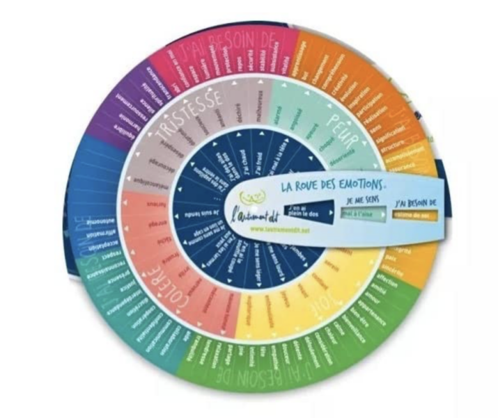 la roue des emotions l'autrement dit