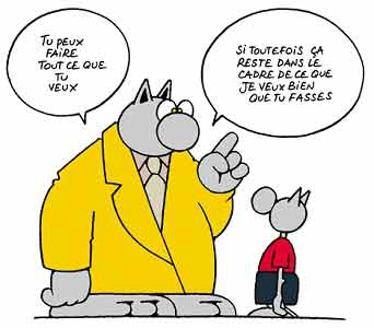 le chat