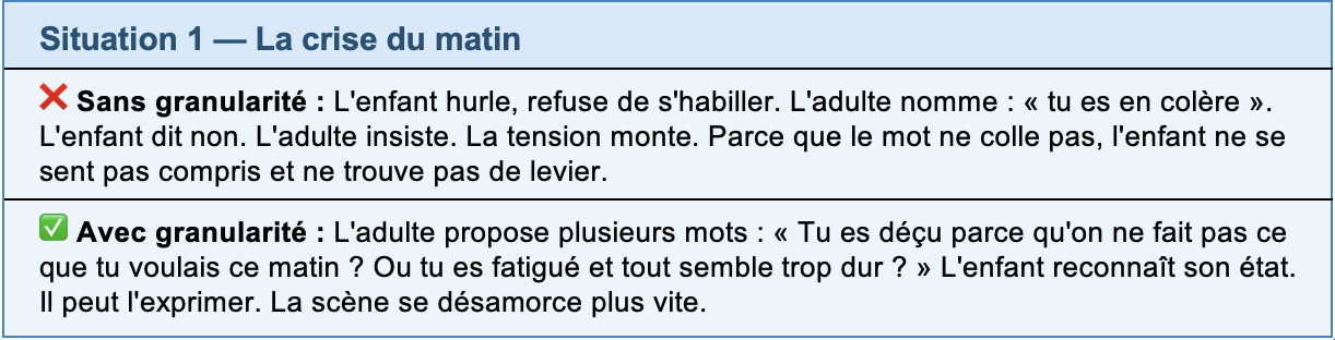 situation de granularité émotionnelle